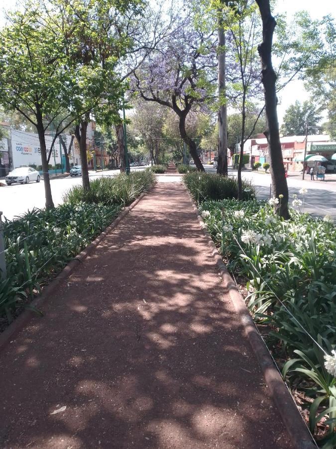 Coyoacan Departamento Tipo Colonial México DF Exterior foto